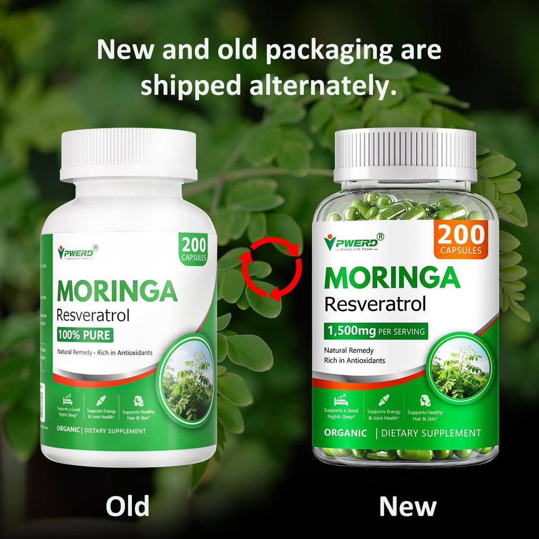 200 Count Organic Moringa Pure Powder Oleifera Leaf Capsules，Moringa Oleifera Powder Leaf Organic Capsules Powder Capsules 1500mg